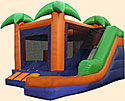 Paradise 7N1 Wet/Dry Combo Bounce House