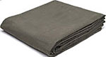 Tarp