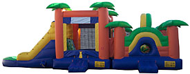 Paradise Playground Wet/Dry Inflatable Bounce House Slide Combo Bounce House